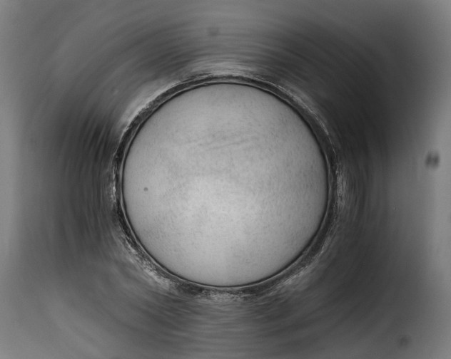X0000115260782200911201704