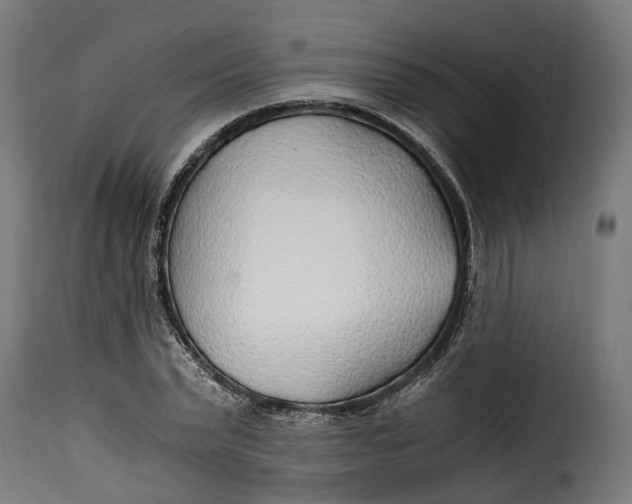 X0000115260783200911201704