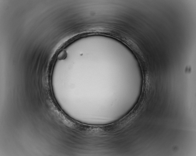 X0000115260784200911201704
