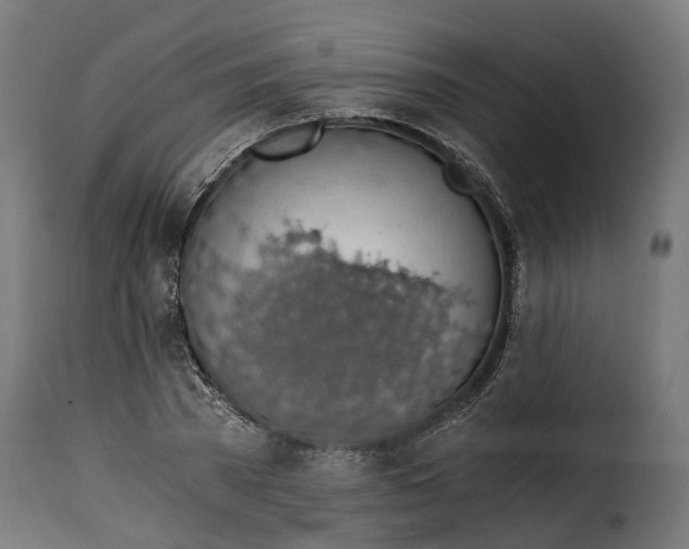X0000115260785200911201704