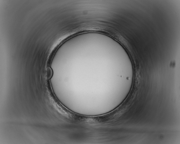 X0000115260787200911201704