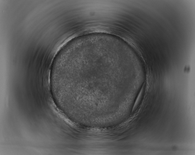 X0000115260790200911201704