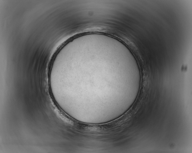 X0000115260792200911201704