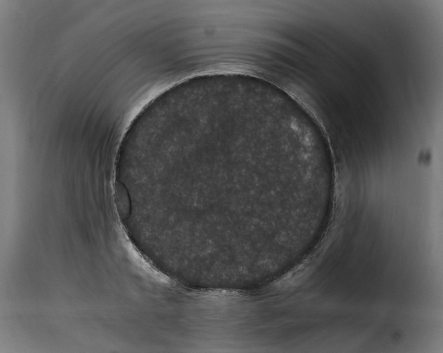 X0000115260797200911201704