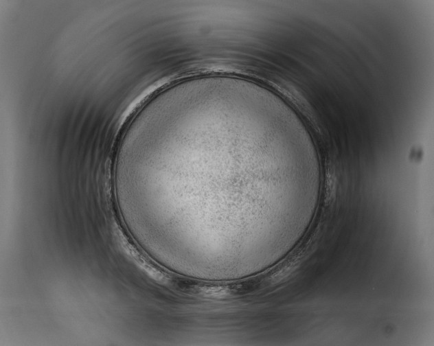 X0000115260798200911201704