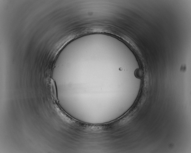 X0000115260801200911201704
