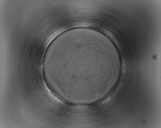 X0000115260802200911201704