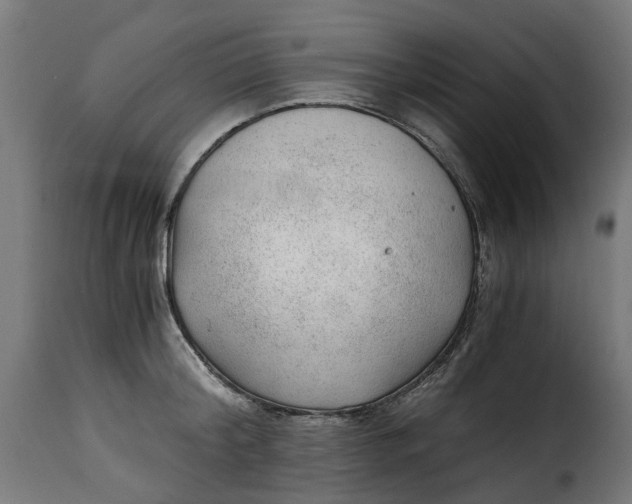 X0000115260804200911201704