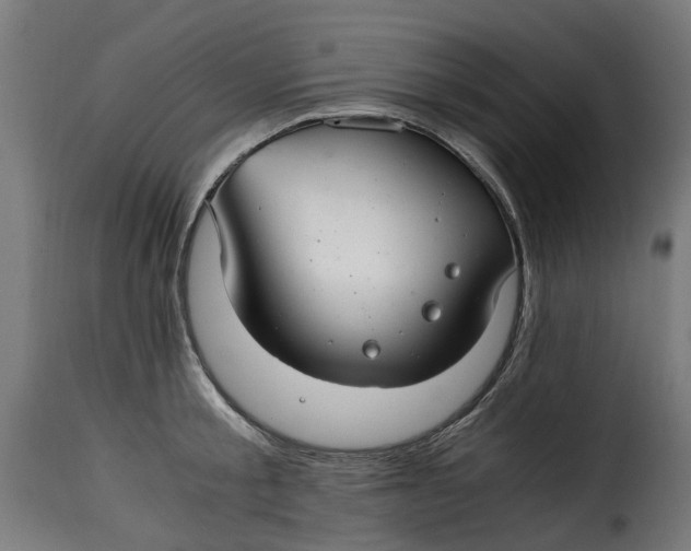 X0000115260805200911201704