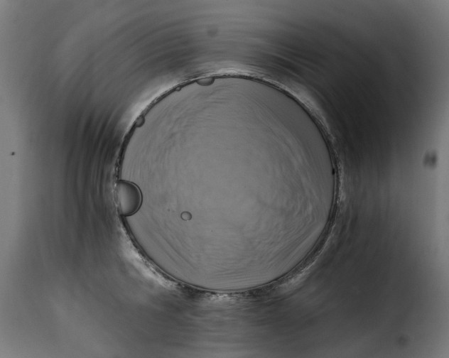 X0000115260806200911201704