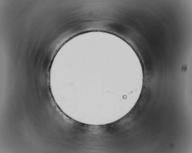 X0000115260807200911201704