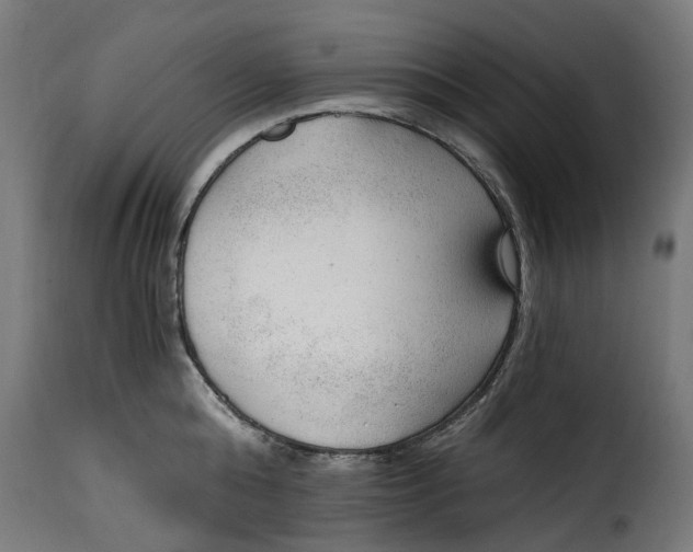 X0000115260808200911201704
