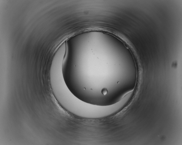 X0000115260809200911201704
