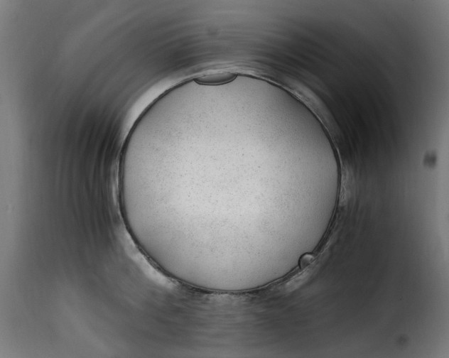 X0000115260812200911201704