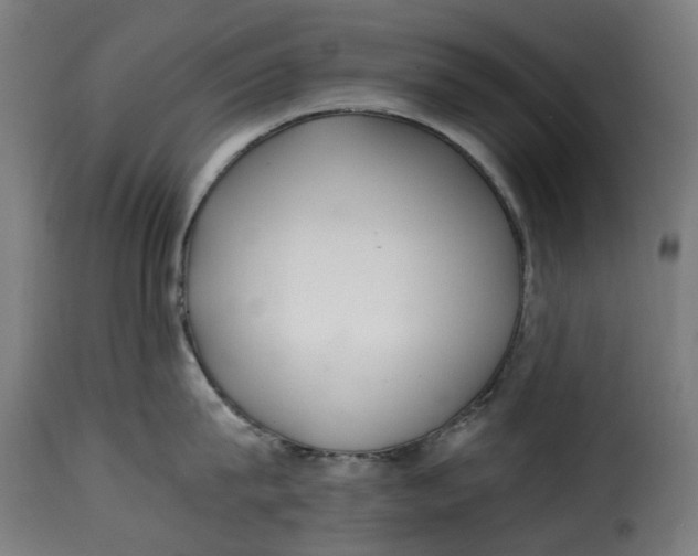 X0000115260815200911201704