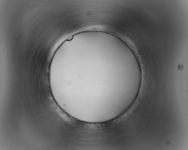 X0000115260816200911201704