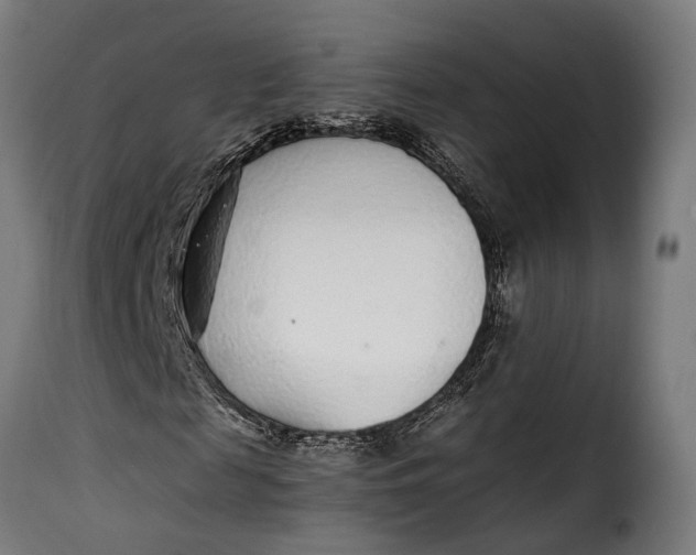 X0000115260817200911201703