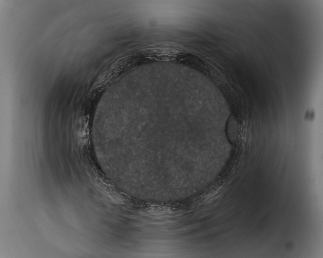 X0000115260818200911201703