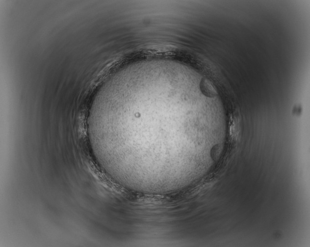 X0000115260819200911201703