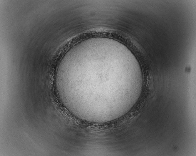 X0000115260821200911201703