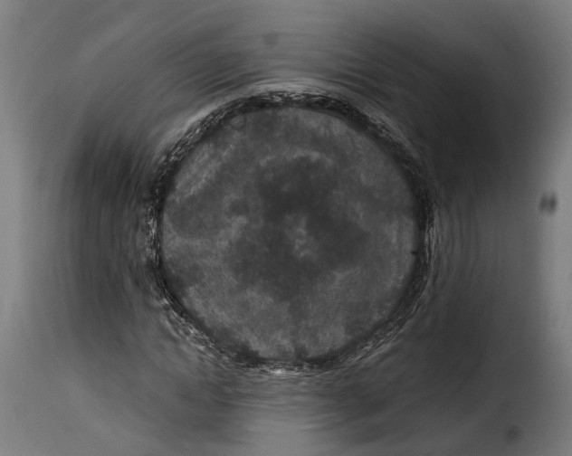 X0000115260822200911201703