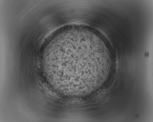X0000115260823200911201703