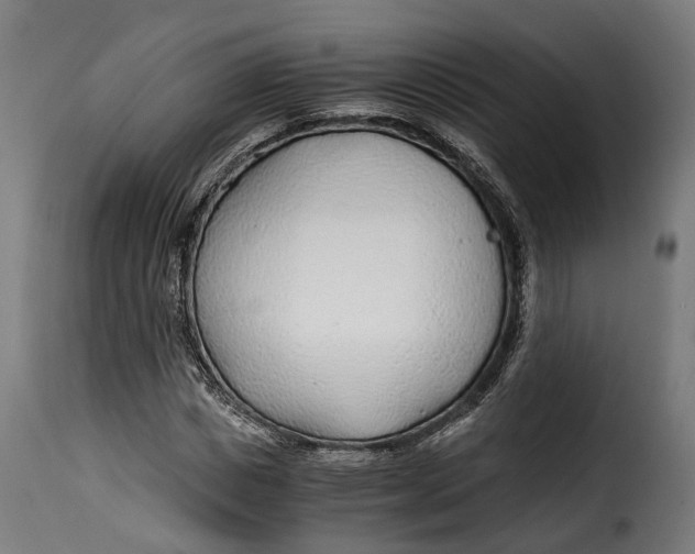 X0000115260825200911201703