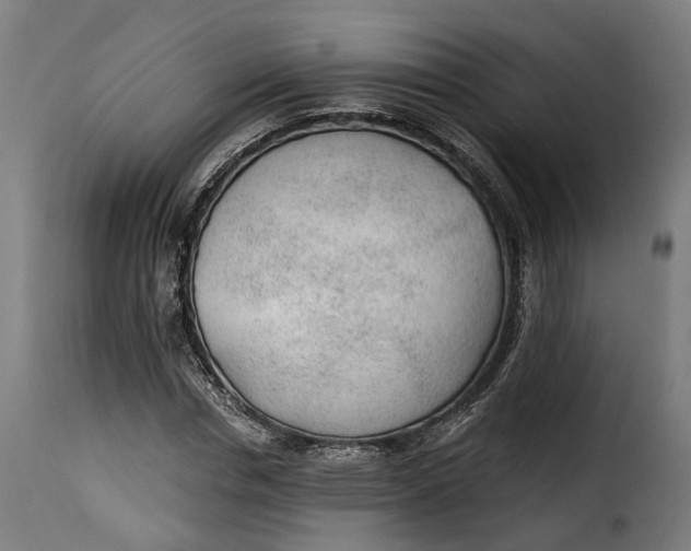 X0000115260826200911201703