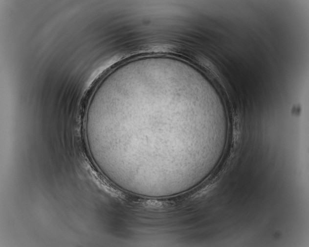 X0000115260827200911201703