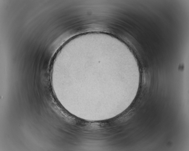 X0000115260828200911201703