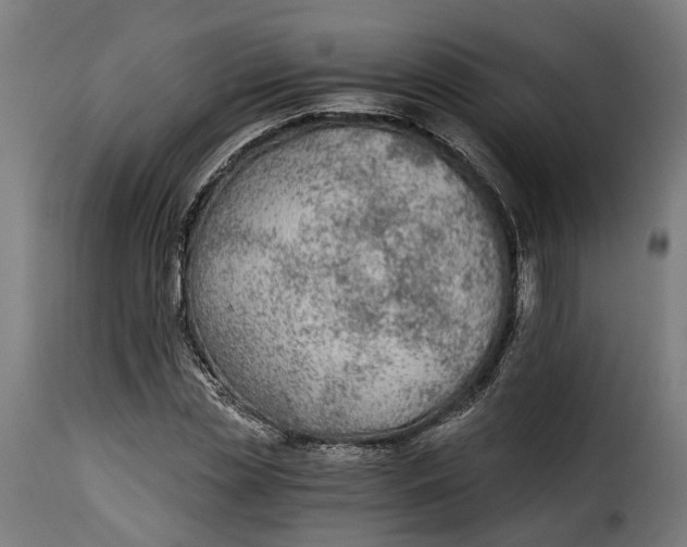 X0000115260829200911201703