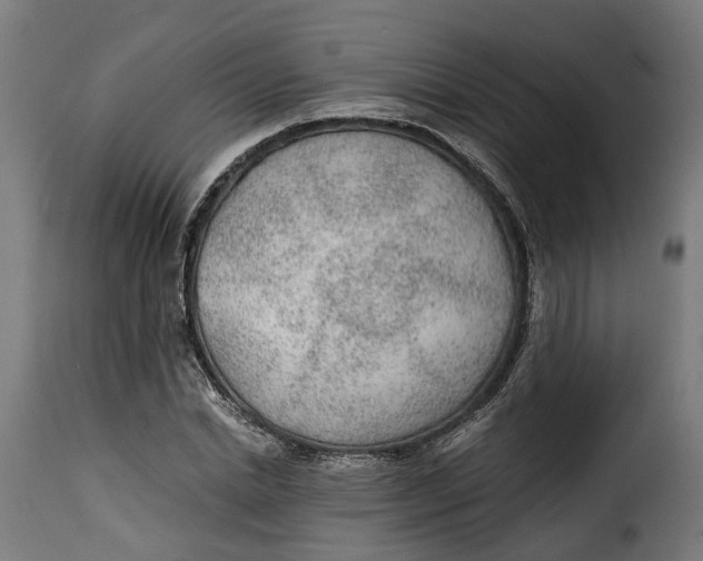 X0000115260830200911201703