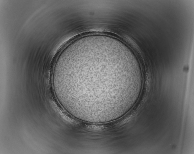 X0000115260831200911201703