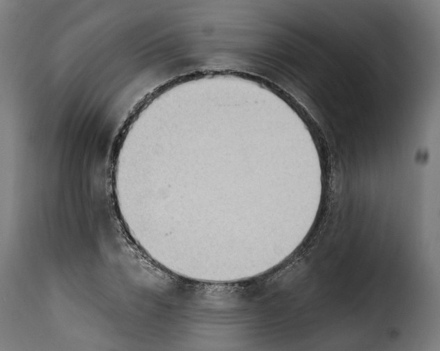 X0000115260832200911201703