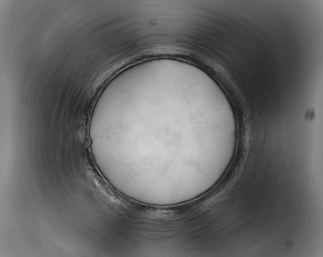 X0000115260833200911201703