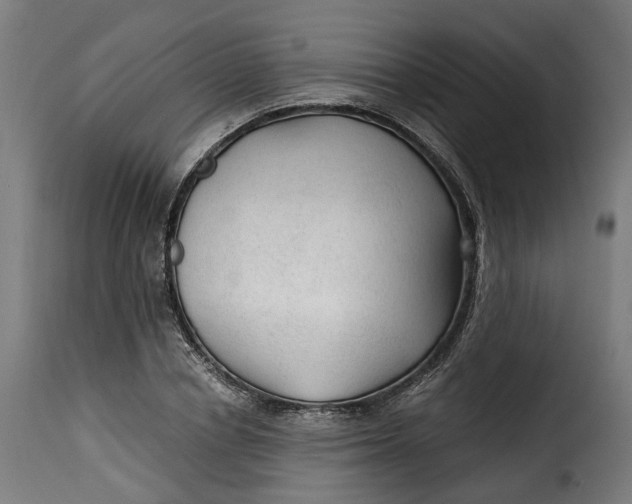 X0000115260834200911201703