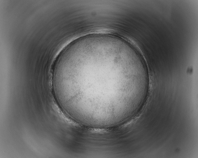 X0000115260835200911201703