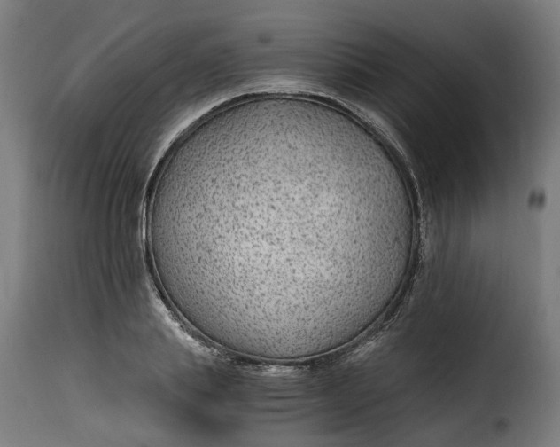X0000115260839200911201704