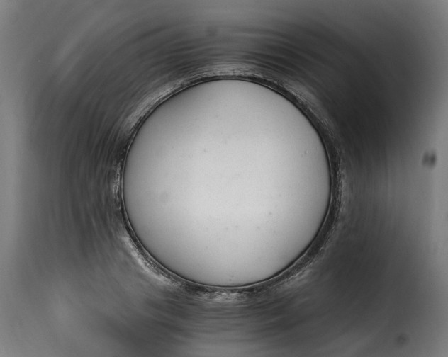 X0000115260841200911201704