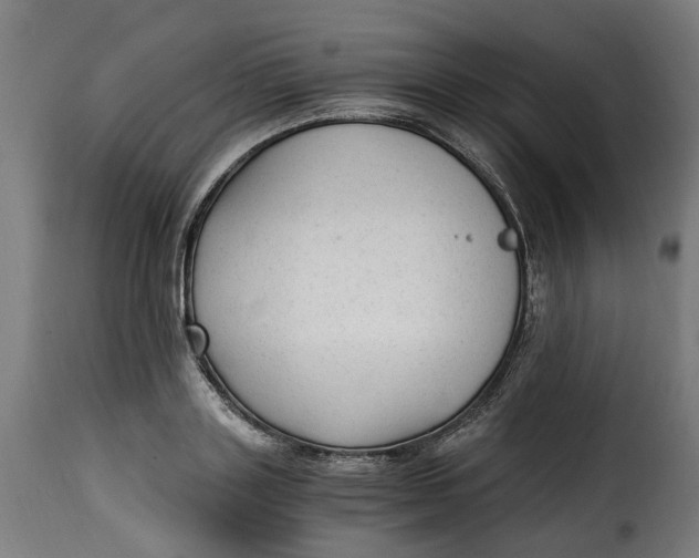 X0000115260843200911201704