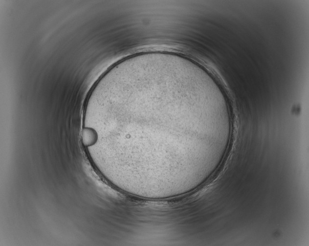 X0000115260844200911201704