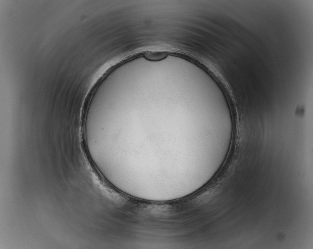 X0000115260845200911201704