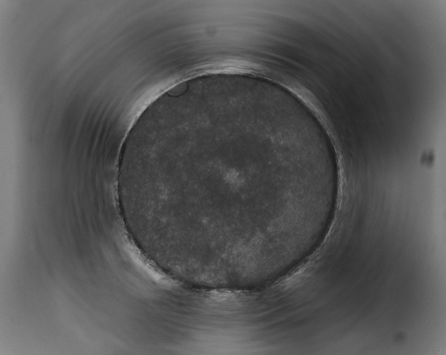 X0000115260850200911201704