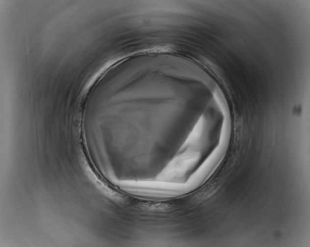 X0000115260851200911201704
