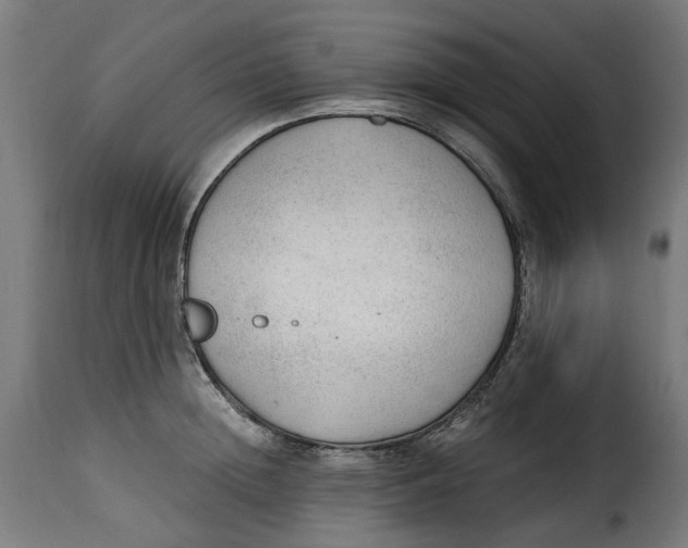 X0000115260852200911201704