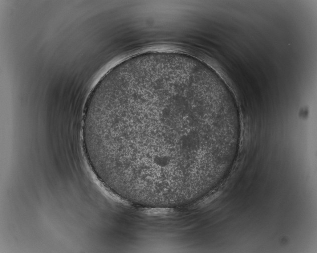 X0000115260853200911201704
