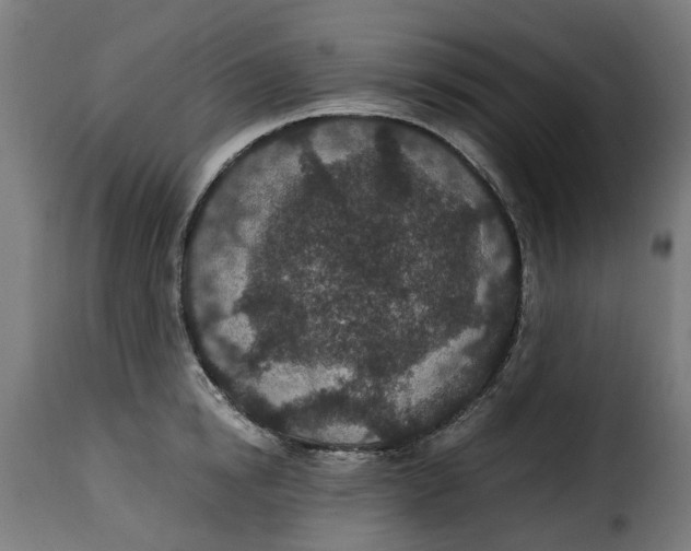 X0000115260854200911201704