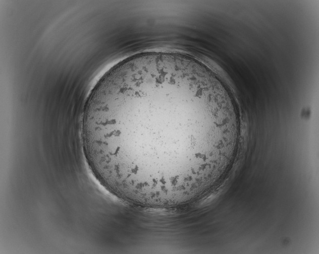 X0000115260855200911201704