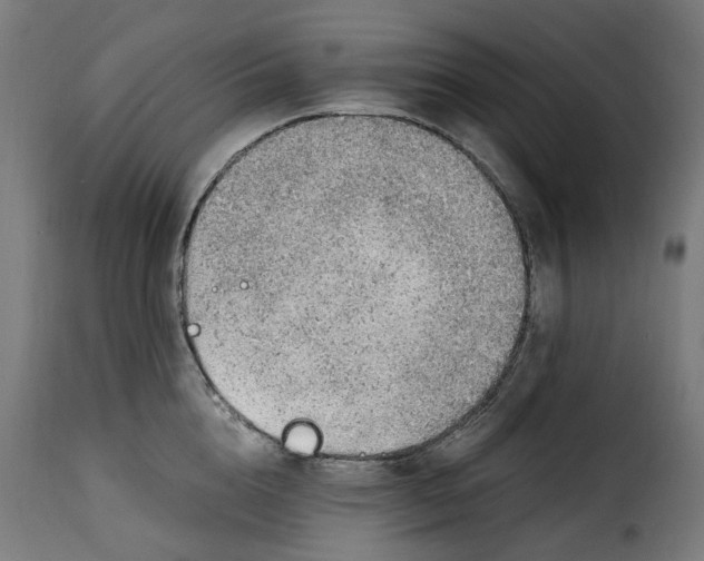 X0000115260856200911201704