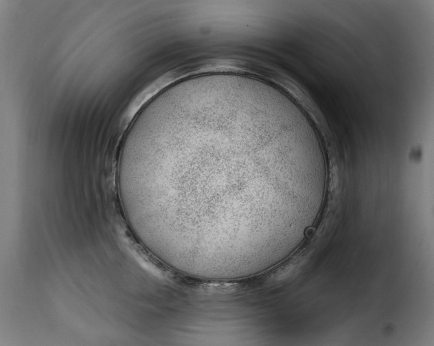 X0000115260858200911201704